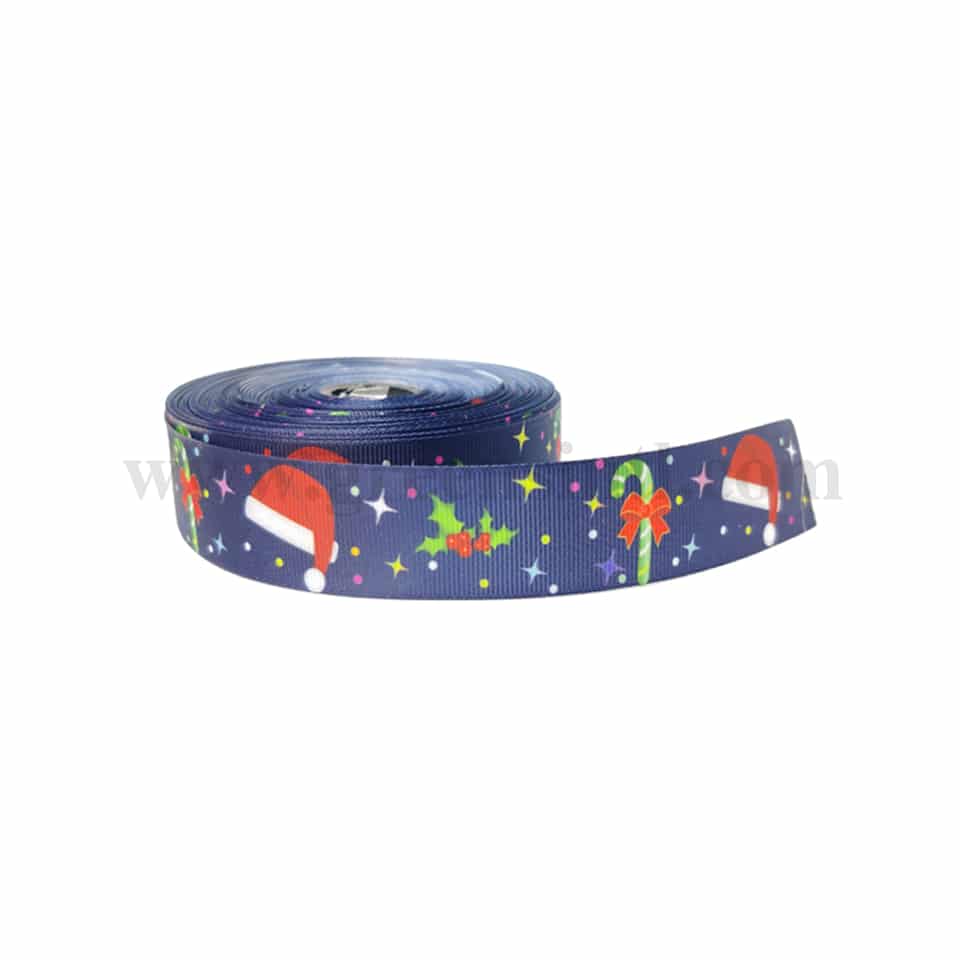 GREENS CHOICE Blue Christmas Ribbon with Santa Cap 30 m x 25 mm