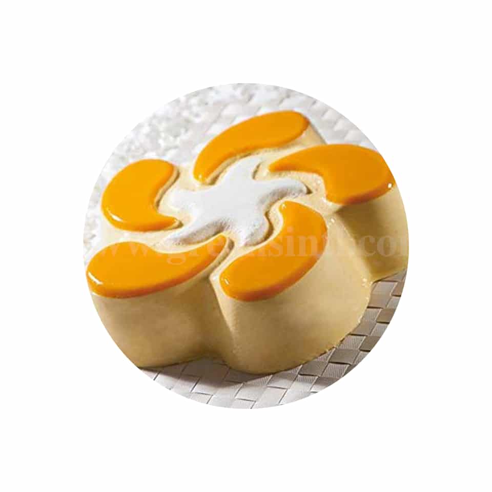 SASA DEMARLE Flexipan Mould Neptune 240x240x60mm -Single Indent