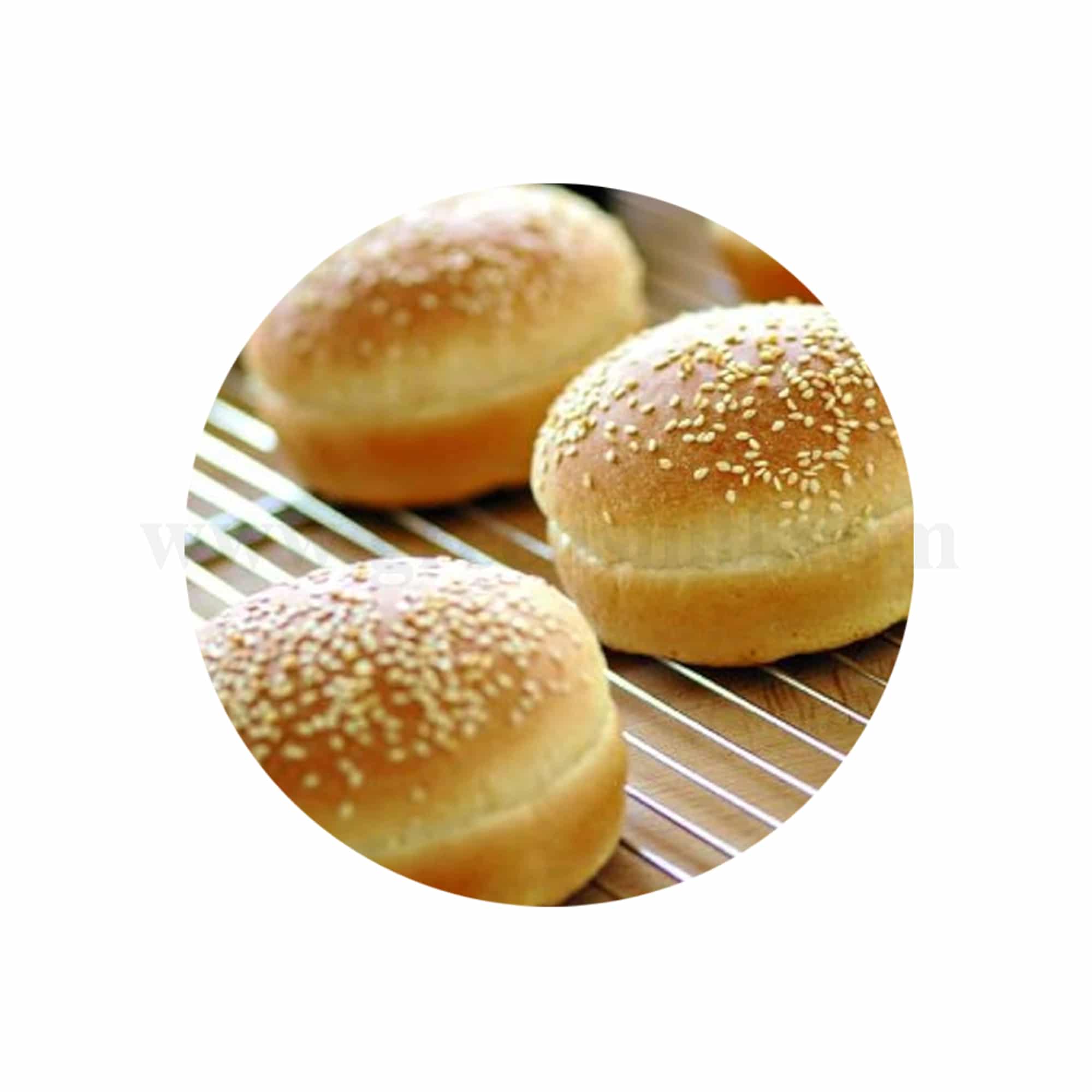 DEMARLE Silform Hamburger D 102 x  20 mm