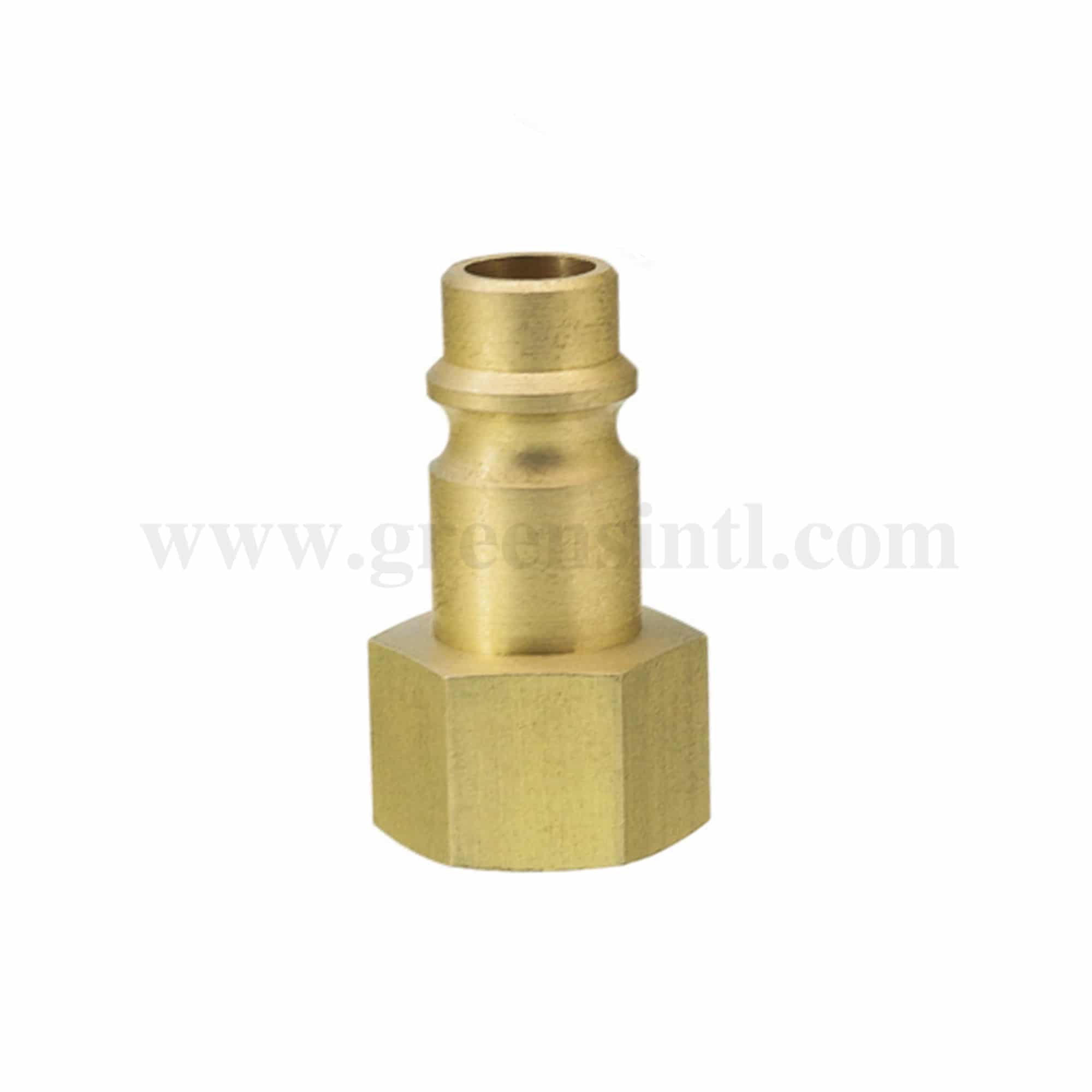 GREENS Plug  with 1/4 Inch Female Thread 