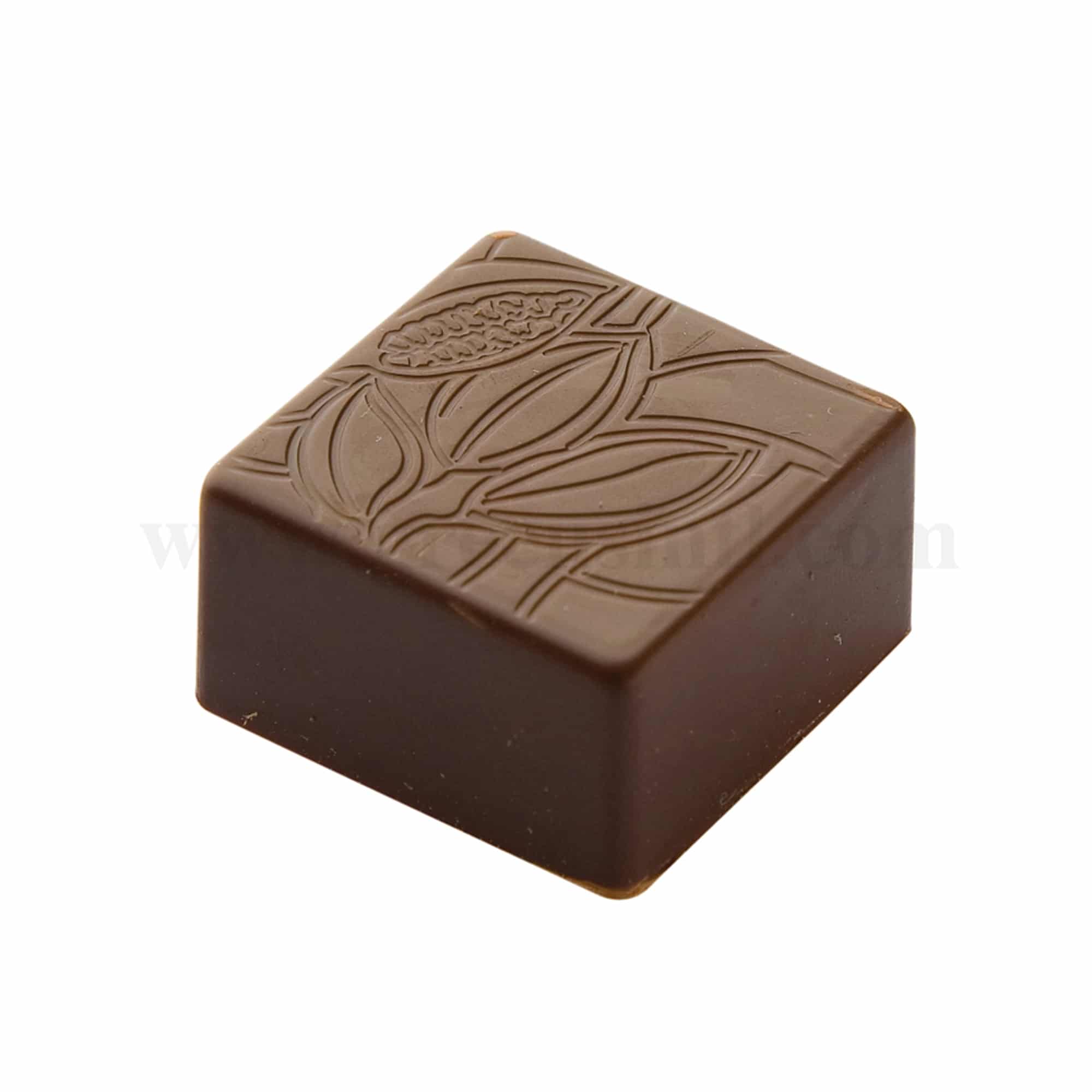 CHOCOLATE WORLD Chocolate Mould Sqaure Cocoa Bean 25 x 25 x h 14 mm