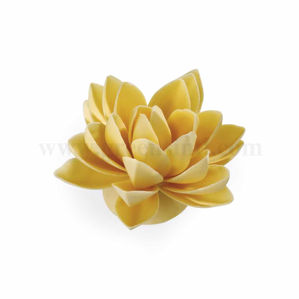 MARTELLATO Thermoformed Chocolate Mould Petals